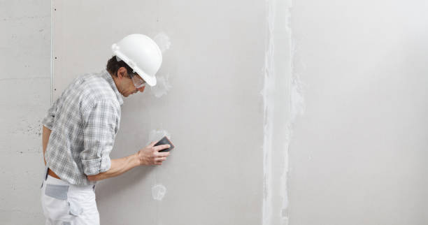 Best Drywall Removal and Disposal  in Mansfield, LA